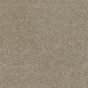 Balta Carpets Pinnacle Driftwood 700, from Kings Carpets - the ideal place to buy Balta Carpets and Flooring. Call Today - 0115 9455584