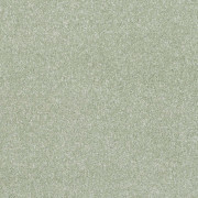 Balta Carpets Pinnacle Fresh Sage 450, from Kings Carpets - the ideal place to buy Balta Carpets and Flooring. Call Today - 0115 9455584