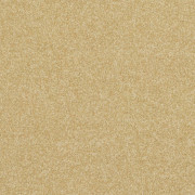 Balta Carpets Pinnacle Glorious Gold 240, from Kings Carpets - the ideal place to buy Balta Carpets and Flooring. Call Today - 0115 9455584