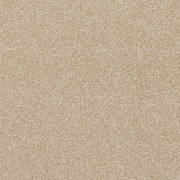 Balta Carpets Pinnacle Sail Cloth 620, from Kings Carpets - the ideal place to buy Balta Carpets and Flooring. Call Today - 0115 9455584