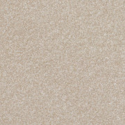 Balta Carpets Pinnacle Toasted Marshmallow 680, from Kings Carpets - the ideal place to buy Balta Carpets and Flooring. Call Today - 0115 9455584