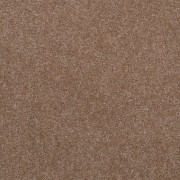 Balta Carpets Super Twist Almond 810, from Kings Carpets - the ideal place to buy Balta Carpets and Flooring. Call Today - 0115 9455584