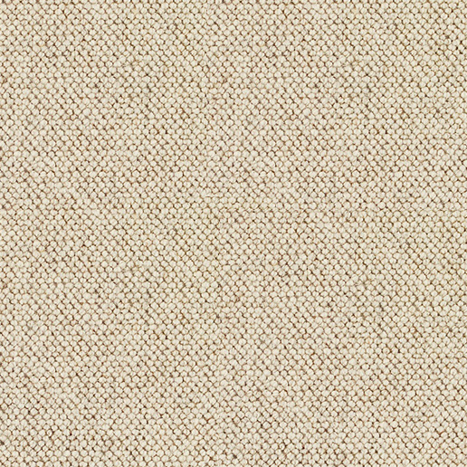 Brockway Carpets Discovery Scout