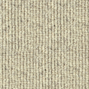 Causeway Carpets Nature Earth Coastline