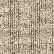 Causeway Carpets Nature Earth Harbour Wall