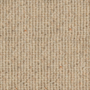 Causeway Carpets Nature Earth Seashell