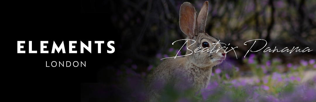 Elements London Lake District Collection Beatrix Panama