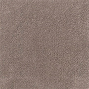 Jacaranda Carpets Jaspur Heron, from Kings Carpets - the ideal place to buy Carpets and Flooring. Call us Today - 0115 9455584."