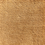 Jacaranda Carpets Kashmir Honeysuckle