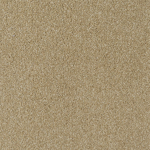 Mayfield Carpets Performance Cognac