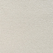 Mayfield Carpets Performance Kitten