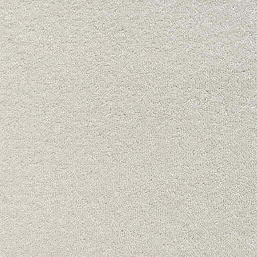 Mayfield Carpets Performance Kitten