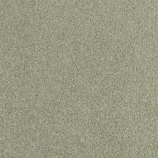Mayfield Carpets Performance Oregano