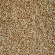 Valley Carpets Phoenix 92 Harvest