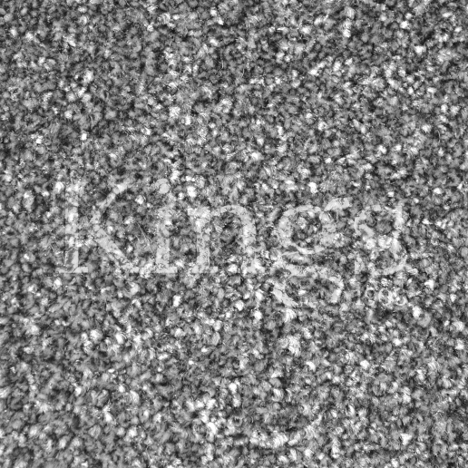 Valley Carpets Supertwist 78 Pewter