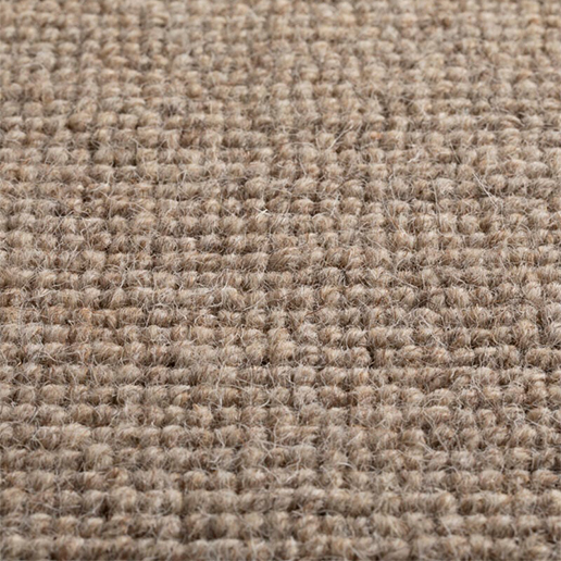 Jacaranda Carpets Daiya Carraway