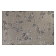 Jacaranda Rugs Refined Moon Leaf Grey JC2006