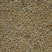 Kildare Doeskin 32oz 80% Wool Twist Pile 5.58m x 4m