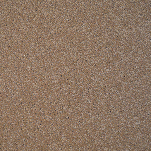 Brintons Coronation Twist Walnut 8m 22cm x 3.66m