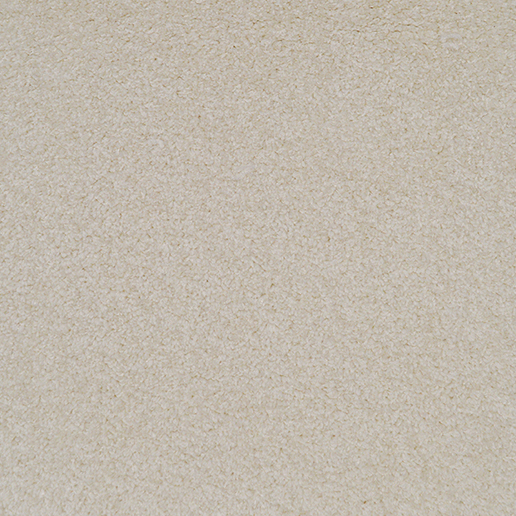 Stain Guard Saxony Polypropylene 4.3m x 4m