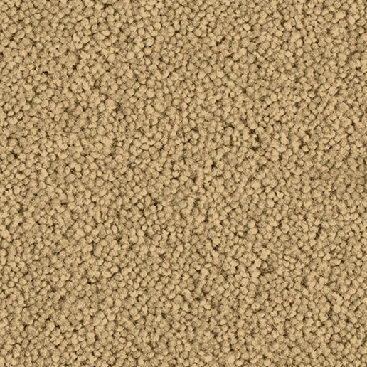 Ulster Carpets Grange Wilton Spelt G1007