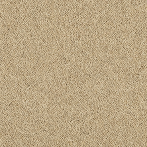 Ulster Carpets Natural Choice Plains Alpaca N5001