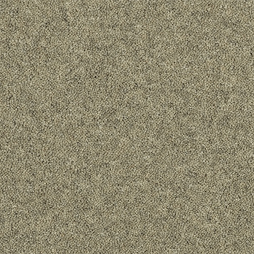 Ulster Carpets Natural Choice Plains Platinum N5007