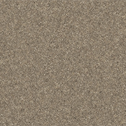 Ulster Carpets Natural Choice Plains Pumice N5005