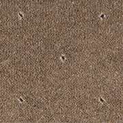 Ulster Carpets Tazmin Pindot Umber 52/2724