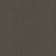 Ulster Carpets Ulster Velvet Barnstone W2627 