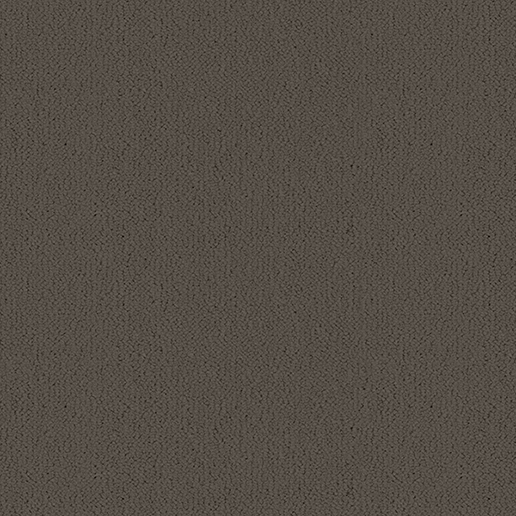 Ulster Carpets Ulster Velvet Barnstone W2627