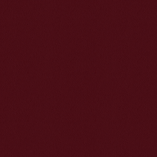 Ulster Carpets Ulster Velvet Burgandy W9711