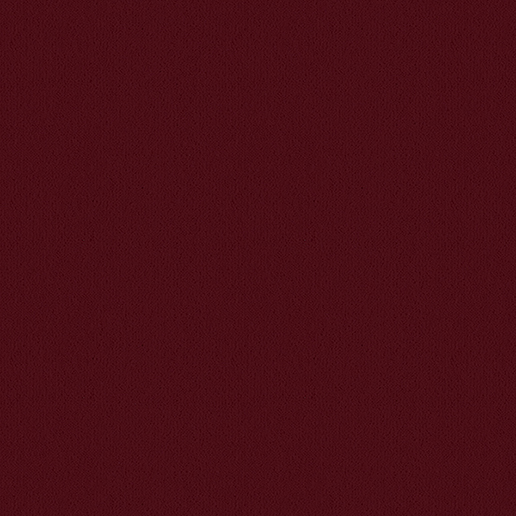 Ulster Carpets Ulster Velvet Burgandy W9711