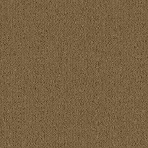 Ulster Carpets Ulster Velvet Canvas W9209