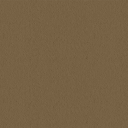 Ulster Carpets Ulster Velvet Canvas W9209