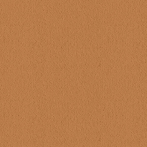 Ulster Carpets Ulster Velvet Champagne W837