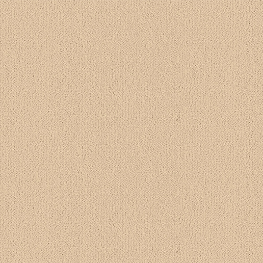 Ulster Carpets Ulster Velvet Chinchilla W2620