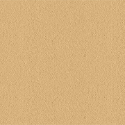 Ulster Carpets Ulster Velvet Impala W2619