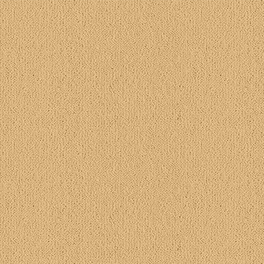 Ulster Carpets Ulster Velvet Impala W2619