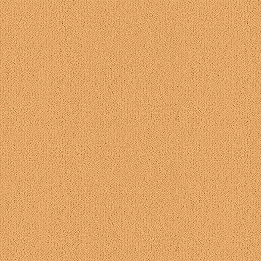 Ulster Carpets Ulster Velvet Jersey W2605