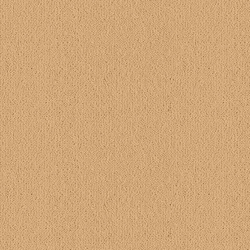 Ulster Carpets Ulster Velvet Oatmeal W2013