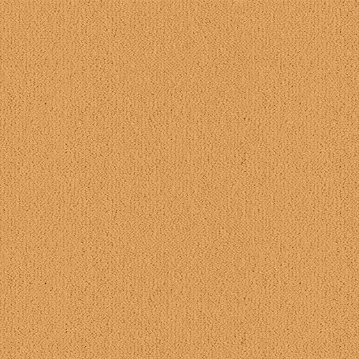 Ulster Carpets Ulster Velvet Straw W2023