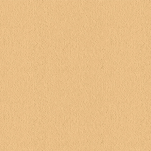 Ulster Carpets Ulster Velvet Suede W2015