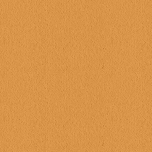 Ulster Carpets Ulster Velvet W9702