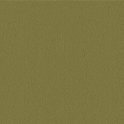 Ulster Carpets Ulster Velvet Aspen Green W8625