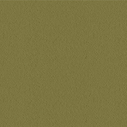 Ulster Carpets Ulster Velvet Aspen Green W8625