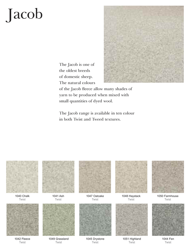Axminster Carpets Jacob Twist