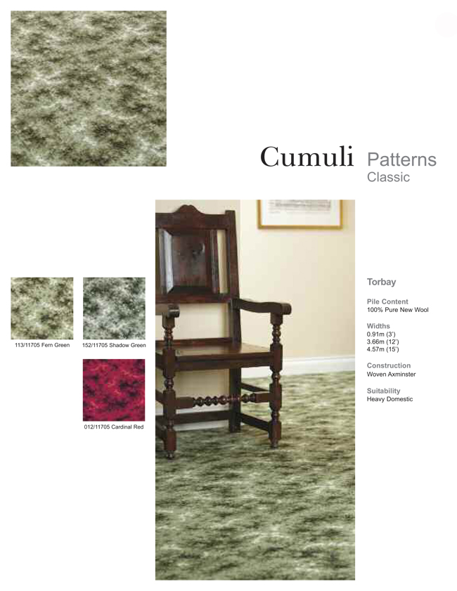Axminster Carpets of Devon Torbay 2