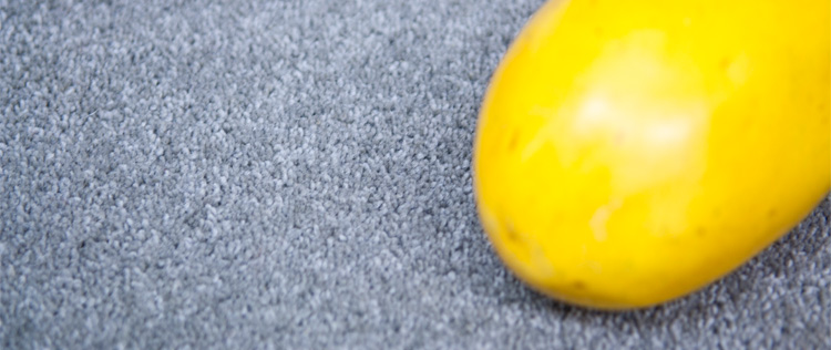 Brockway Carpets Fairfield Twist