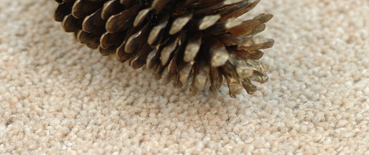 Brockway Carpets Aspen